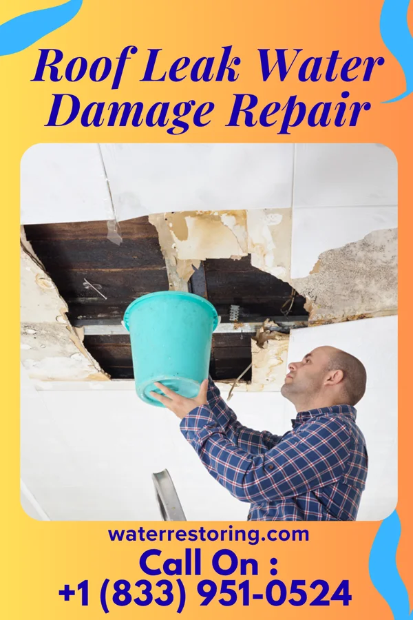 Roof Leak Water Damage Repair in Kaysville, UT